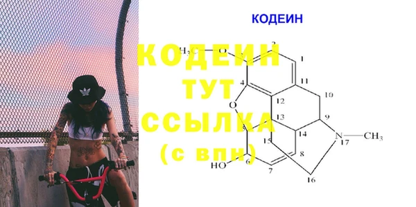 индика Медногорск