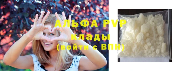 индика Медногорск