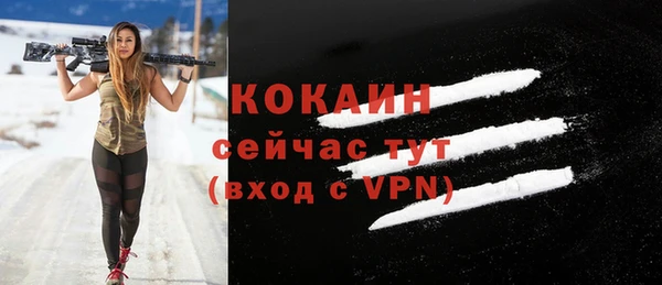 индика Медногорск
