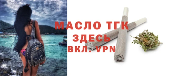 индика Медногорск
