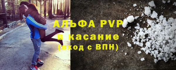 индика Медногорск