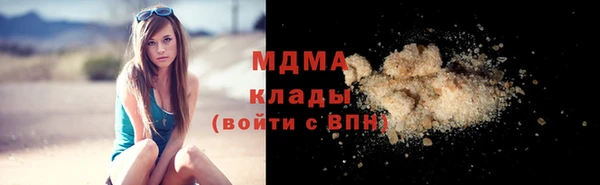 индика Медногорск