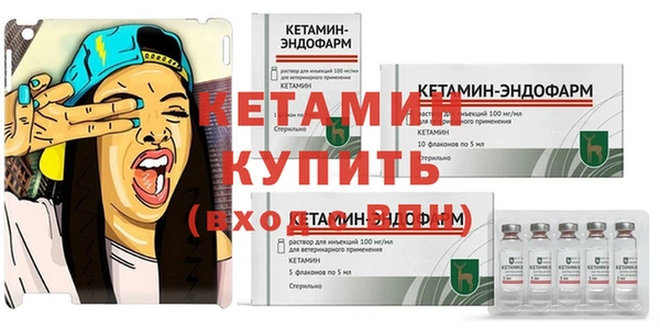 индика Медногорск