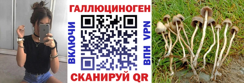 даркнет сайт  Циолковский  Псилоцибиновые грибы MAGIC MUSHROOMS 